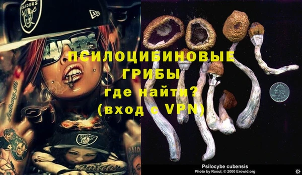 а пвп мука Алзамай