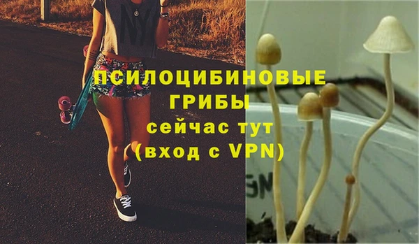 винт Алексин