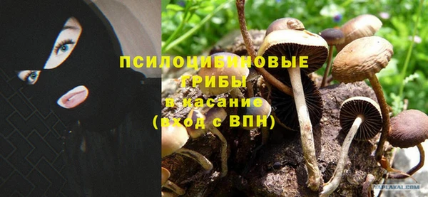 а пвп мука Алзамай