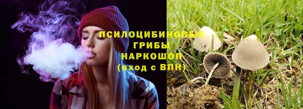 а пвп мука Алзамай