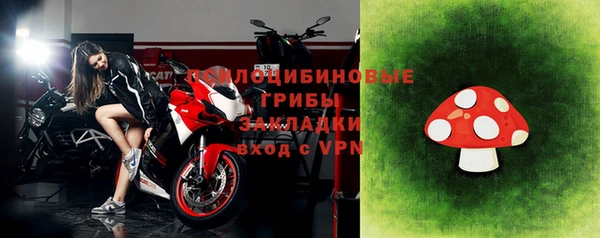 а пвп мука Алзамай