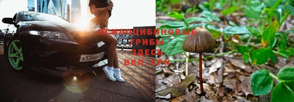 винт Алексин